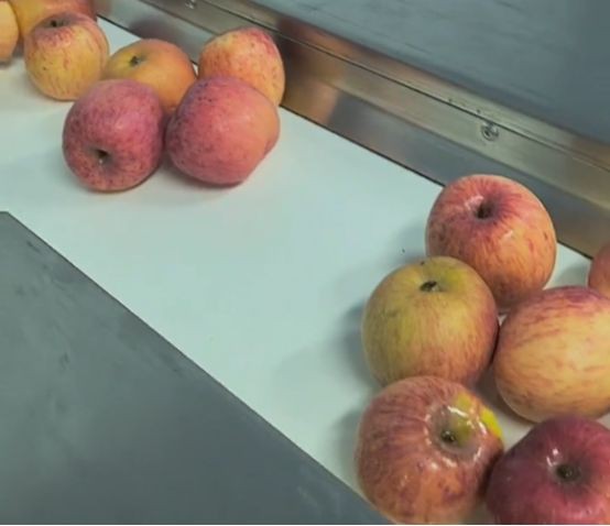 product-554-478 product-554-478